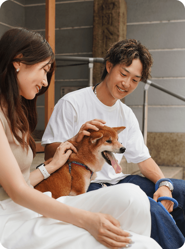 Caregiver gently grooming a relaxed dog
