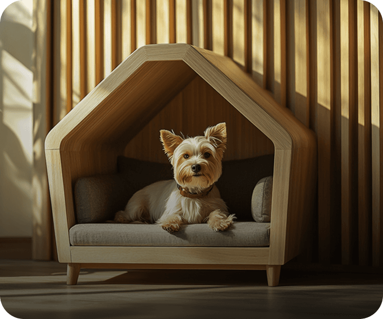 Day Care and Boarding