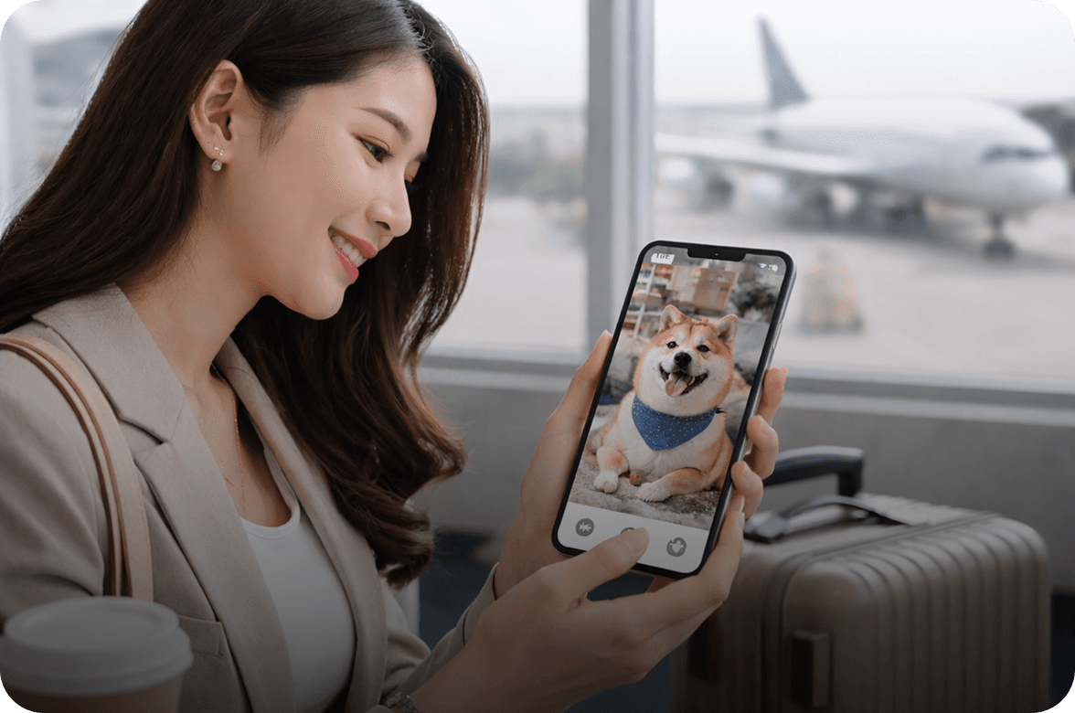 Fur parents who travel for work or leisure